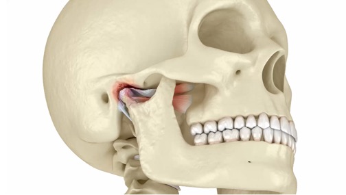 Maxillofacial Surgery